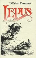 Lepus The Hare by Brian Plummer