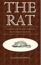 The Rat By James Rodwell